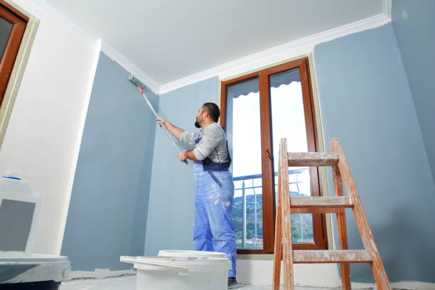 Best Drywall Installation  in Knik Fairview, AK